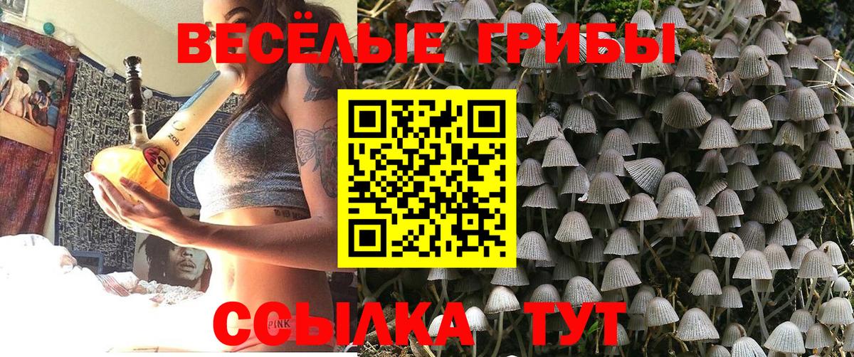 Нальчик  Галлюциногенные грибы ЛСД  Вход с VPN 
