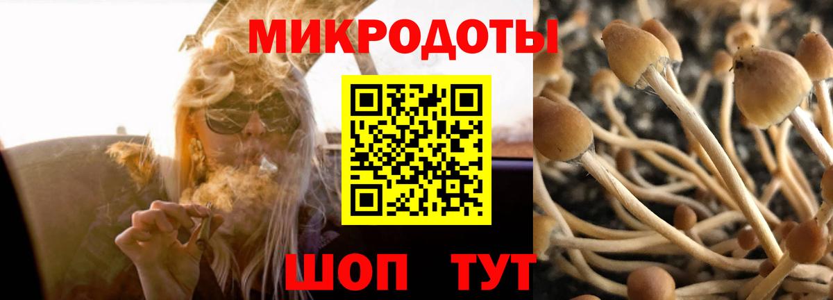 Галлюциногенные грибы GOLDEN TEACHER Нальчик