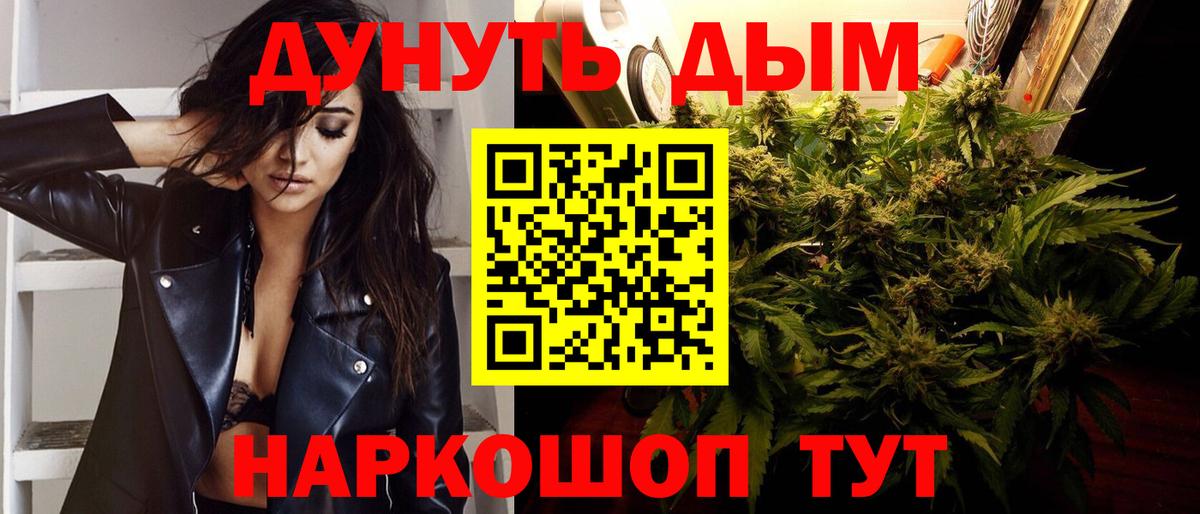 Конопля сатива Нальчик